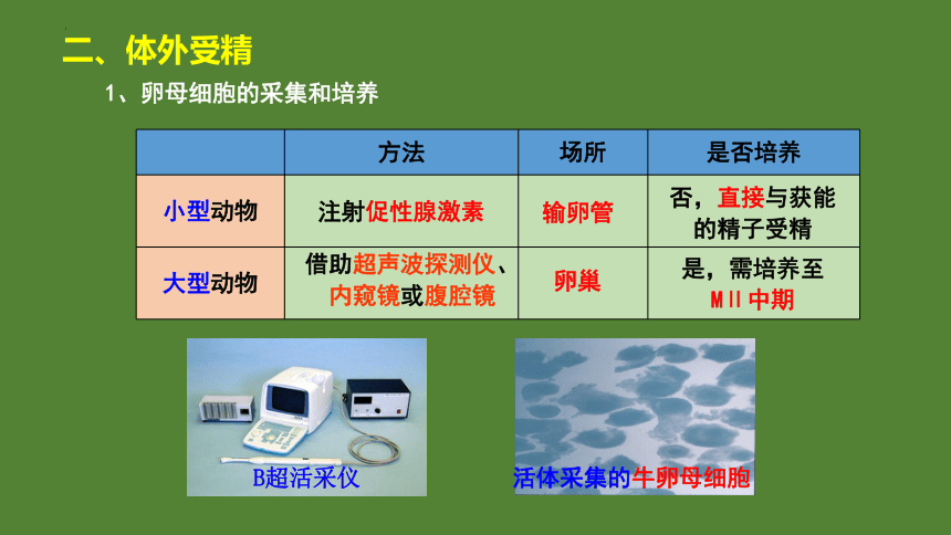 2.3.2胚胎工程技术及其应用课件（共22张PPT） 人教版（2019）选择性必修3