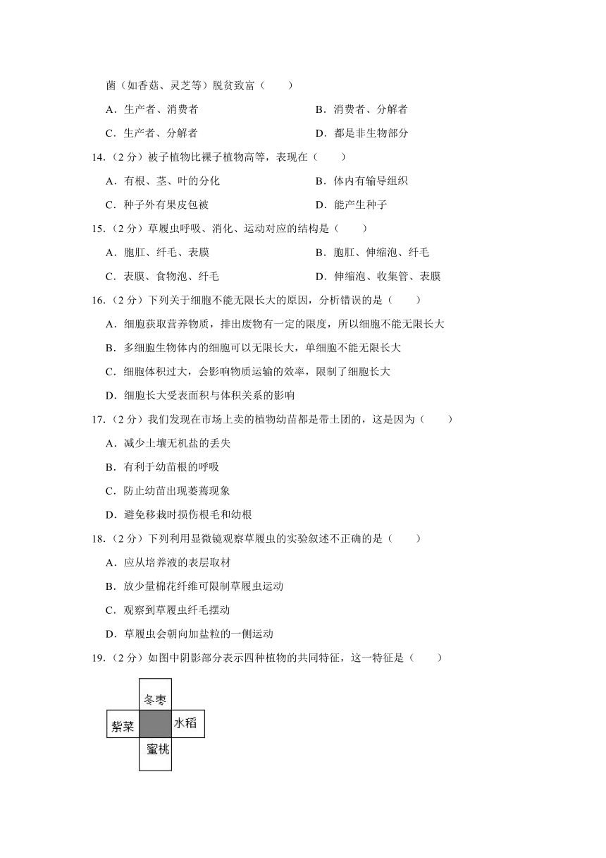 甘肃省陇南市康县2023-2024学年七年级上学期期末生物试卷（含解析）