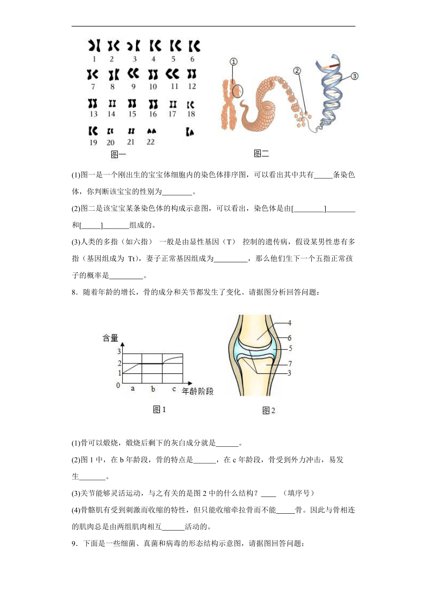 2024年中考生物专题复习：读图理解题（含答案）