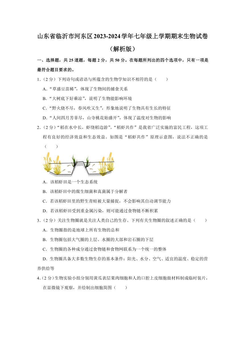 山东省临沂市河东区2023-2024学年七年级上学期期末生物试卷（含解析）