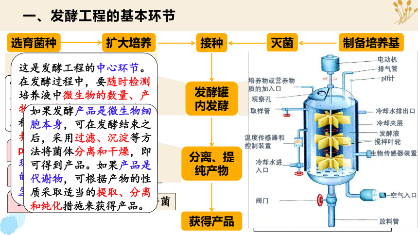 1.3 发酵工程及其应用(共28张PPT)