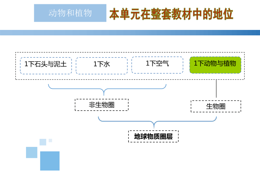 苏教版一年级下册科学第四单元《动物与植物》教材分析（课件）(共30张PPT)