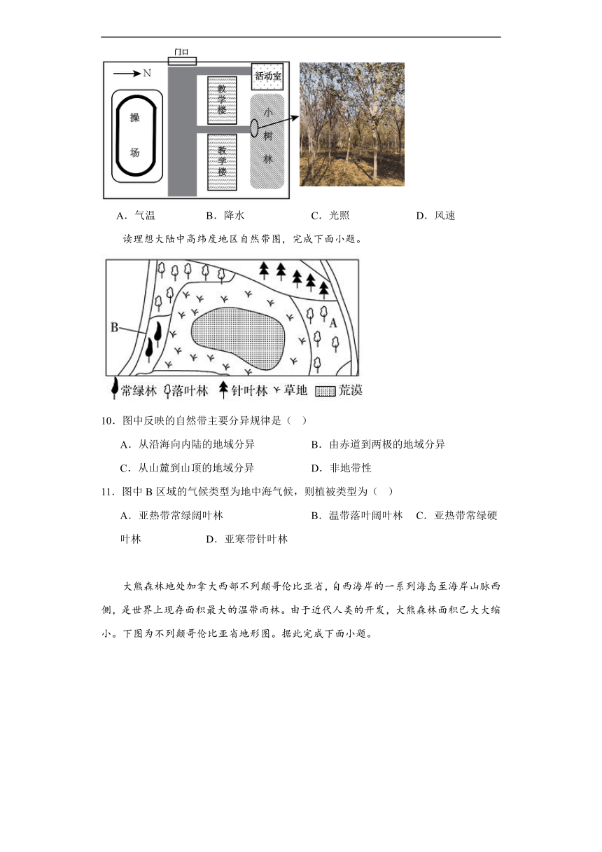 5.1主要植被与自然环境同步练习湘教版（2019）地理高中必修第一册（含答案）