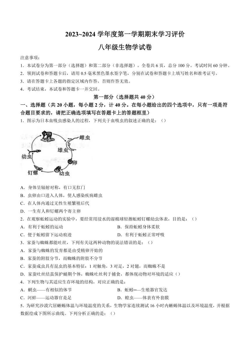 陕西省西安市长安区2023-2024学年八年级上学期期末生物试卷（含答案）