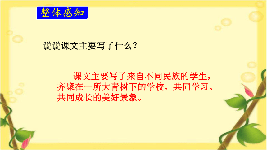 1《大青树下的小学》课件(共25张PPT)