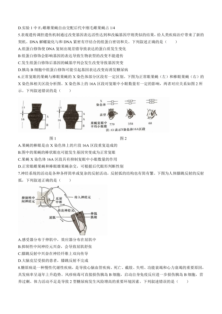 湖南省娄底市2023-2024学年高三上学期期末质量检测生物学试题（含答案解析）