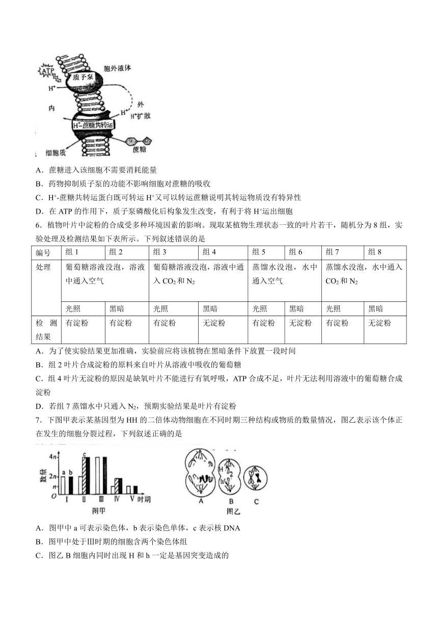 江西省吉安市2023-2024学年高三上学期期末教学质量检测生物学试题（含答案解析）