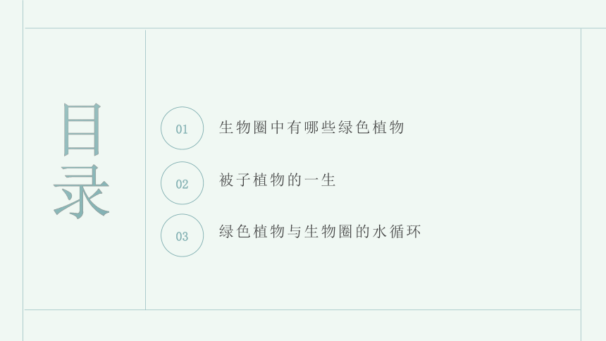 第三单元  生物圈中的绿色植物（一）课件(共40张PPT)2023-2024学年人教版生物七年级上册