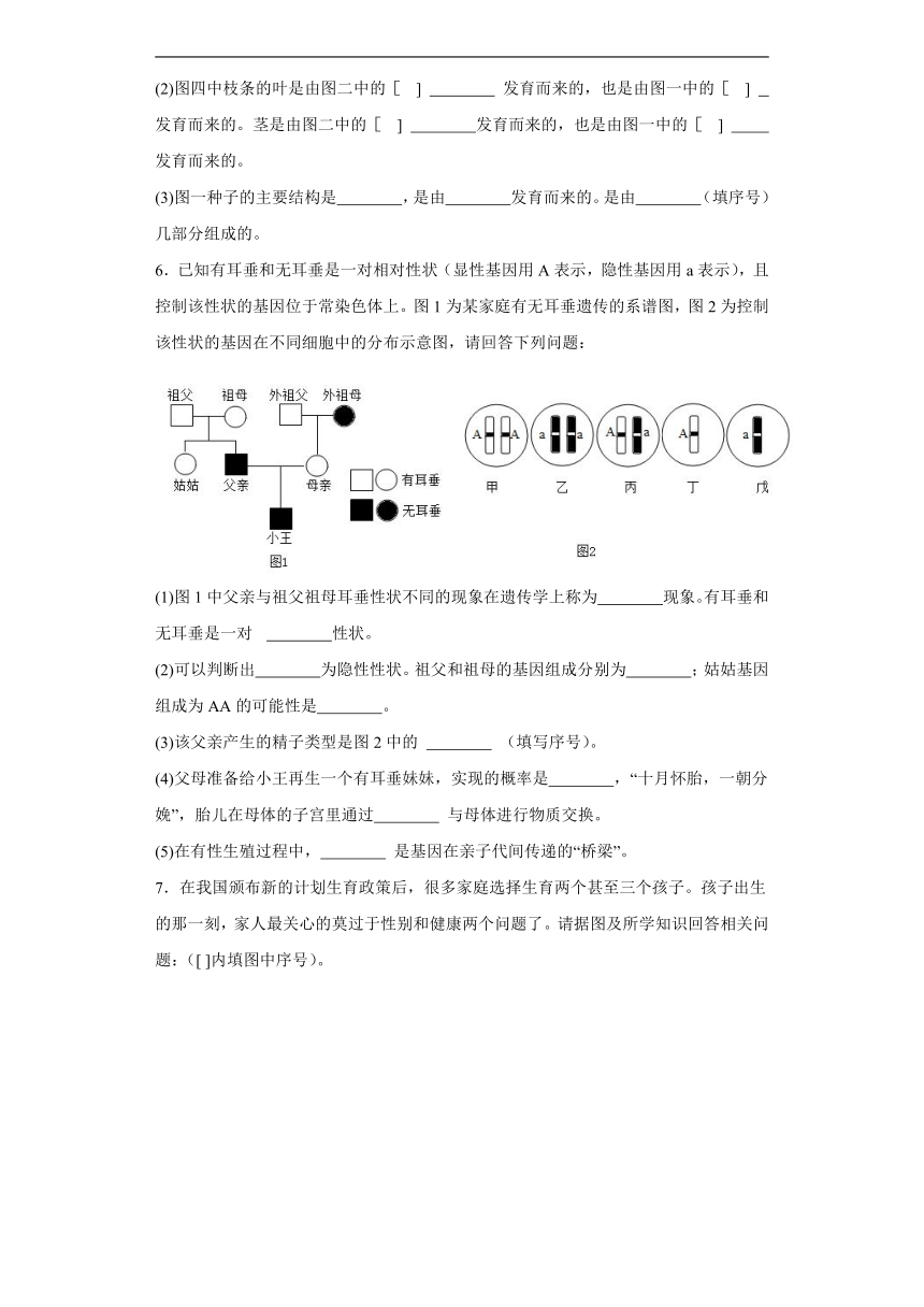 2024年中考生物专题复习：读图理解题（含答案）