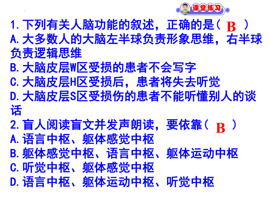 2.5 人脑的高能功能(共25张PPT)课件--人教版2019选择必修1