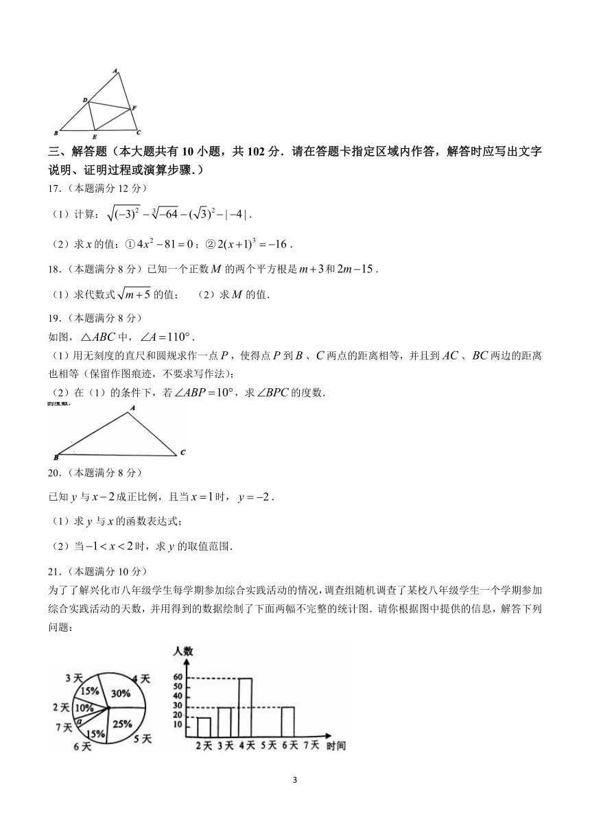 江苏省泰州市兴化市2023-2024学年八年级上学期期末数学试题(含答案)