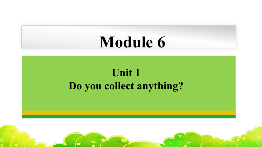 Module 6 Unit 1 Do you collect anything? 课件 2023-2024学年外研版八年级下册 (共42张PPT，含内嵌音频)