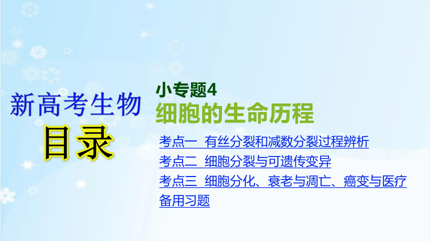 高考生物二轮复习小专题4　细胞的生命历程(共85张PPT)