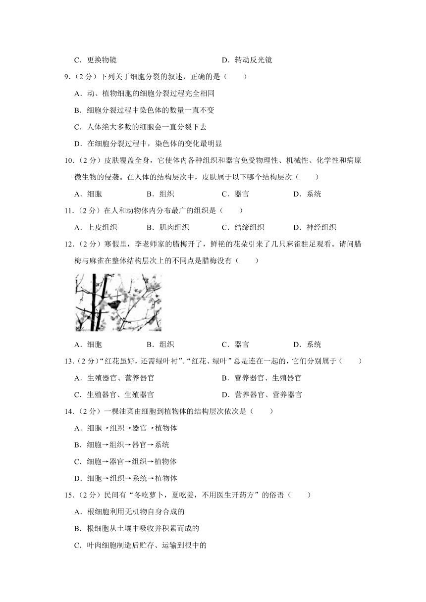 河北省廊坊市广阳区2023-2024学年七年级上学期期末生物试卷（含解析）