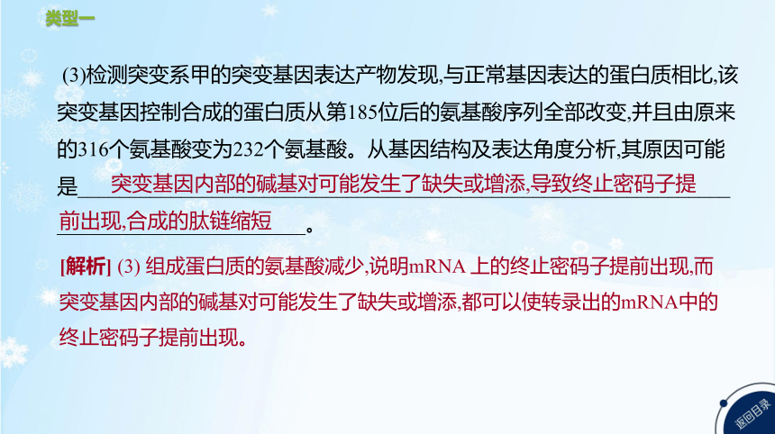 高考生物二轮复习微专题5　遗传、变异与细胞分裂的综合应用(共25张PPT)