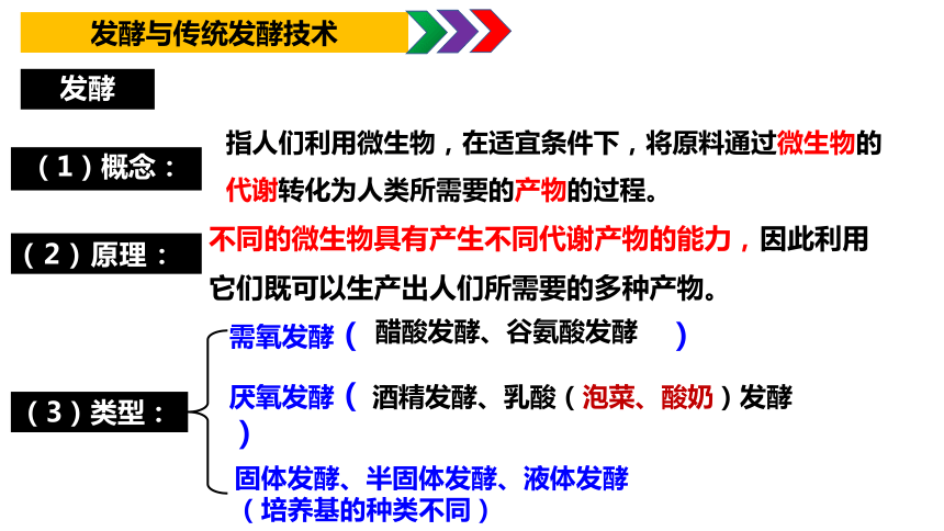 1.1传统发酵技术的应用课件(共48张PPT1份视频) 人教版选择性必修3