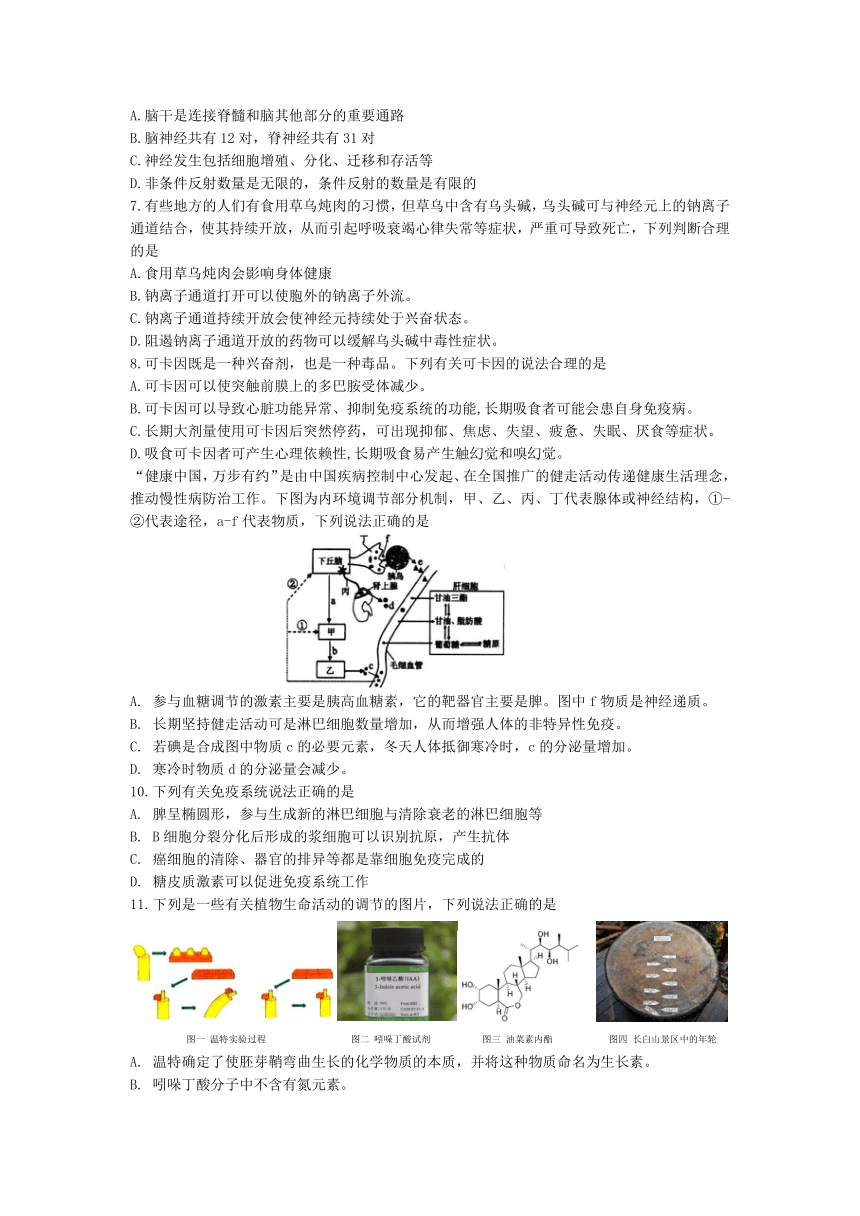 2024年辽宁省名校联盟高二下学期开学模拟联合考试生物学试题（含答案）