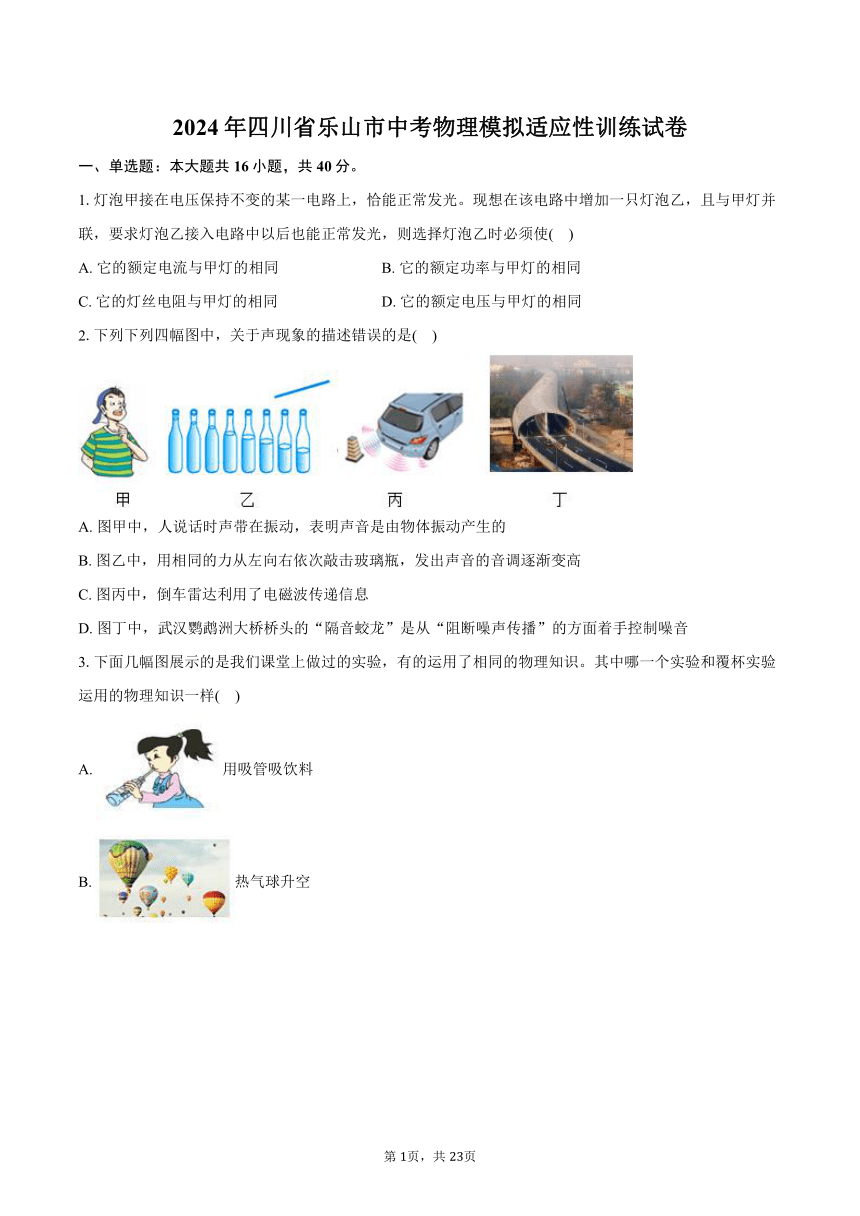 2024年四川省乐山市中考物理模拟适应性训练试卷(含解析）