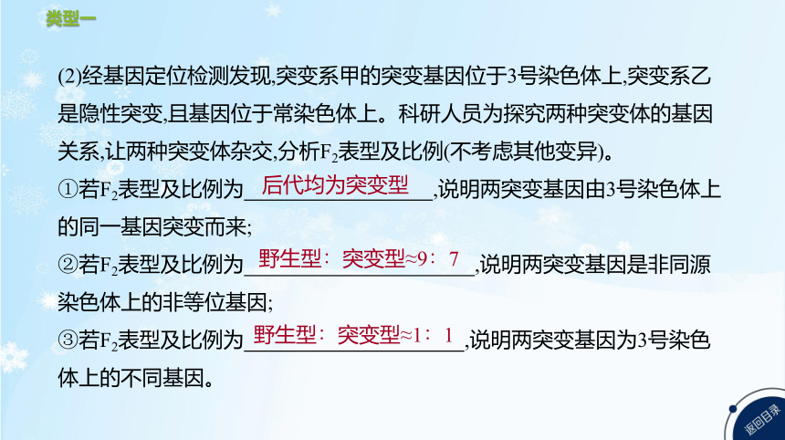 高考生物二轮复习微专题5　遗传、变异与细胞分裂的综合应用(共25张PPT)