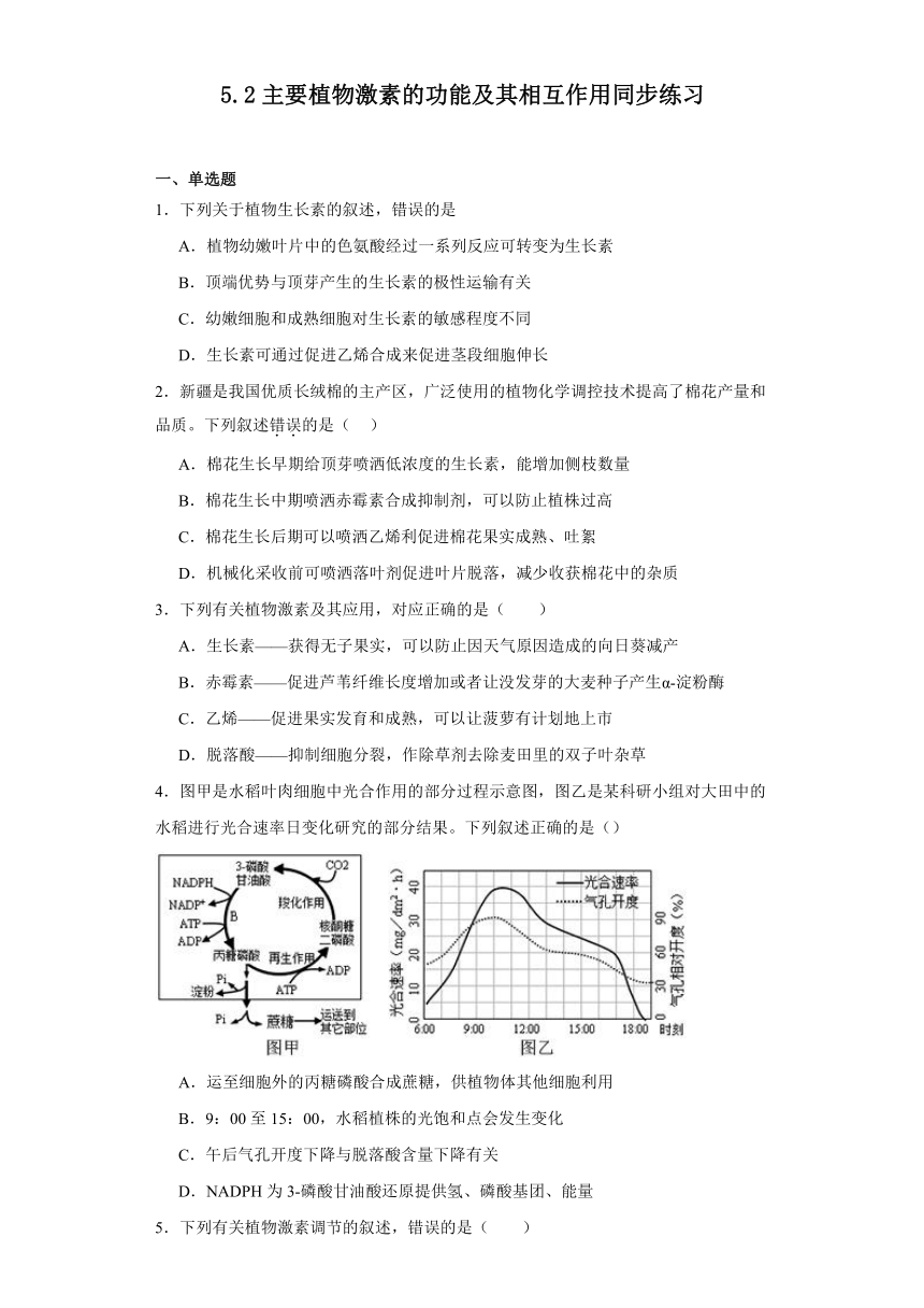 5.2主要植物激素的功能及其相互作用同步练习2023-2024学年高二上学期生物北师大版选择性必修1（解析版）