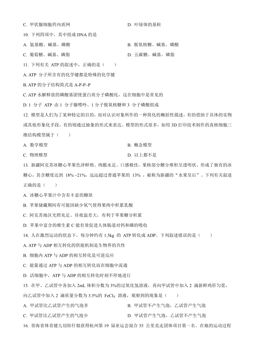 青海省西宁市2023-2024学年高一上学期期末调研测试 生物（解析版）