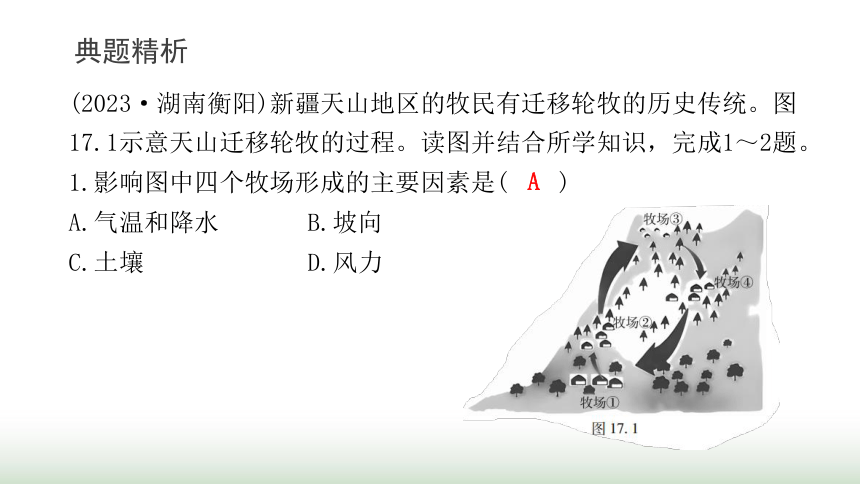 中考地理复习专题十七西北地区青藏地区课件(共39张PPT)