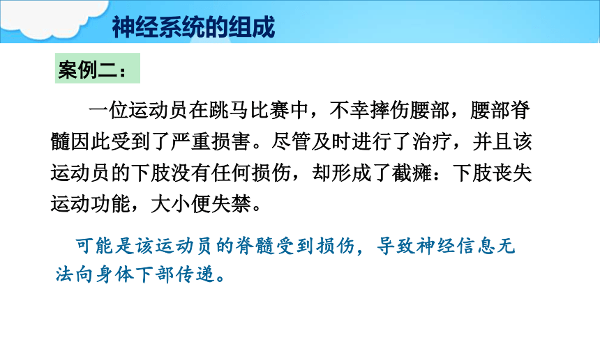 3.5.2神经调节的结构基础（第1课时）课件(共23张PPT)-2023-2024学年济南版生物七年级下册