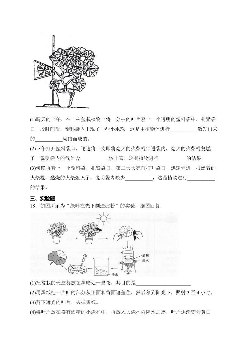 山西省大同市平城区两校联考2023-2024学年七年级上学期12月月考生物试卷(含答案)