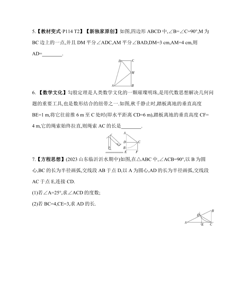 鲁教版七年级下册数学10.3　直角三角形第1课时素养提升练习（含解析）