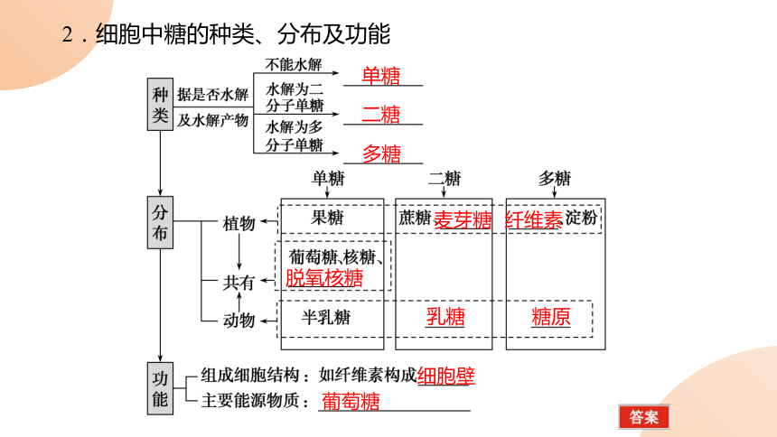 2.3细胞中的糖类和脂质课件 （共63张PPT）人教版必修1