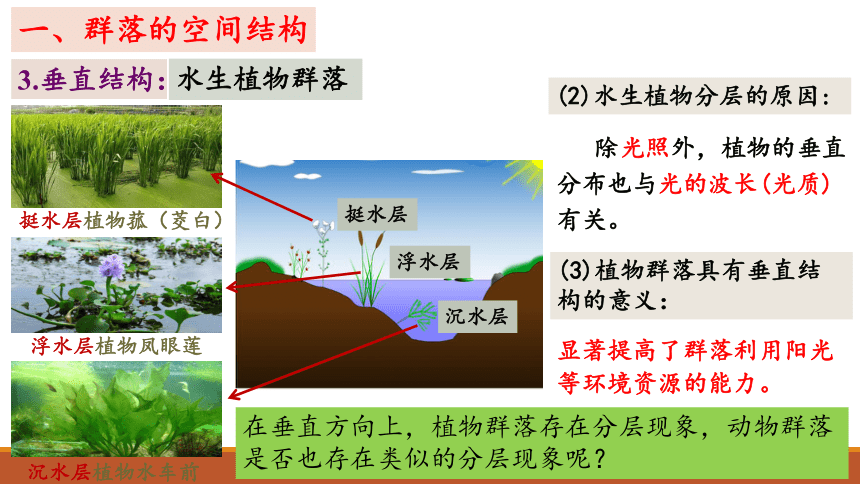 2.1 群落的结构 （第2课时）教学课件(共39张PPT)-高二上学期生物人教版选择性必修2