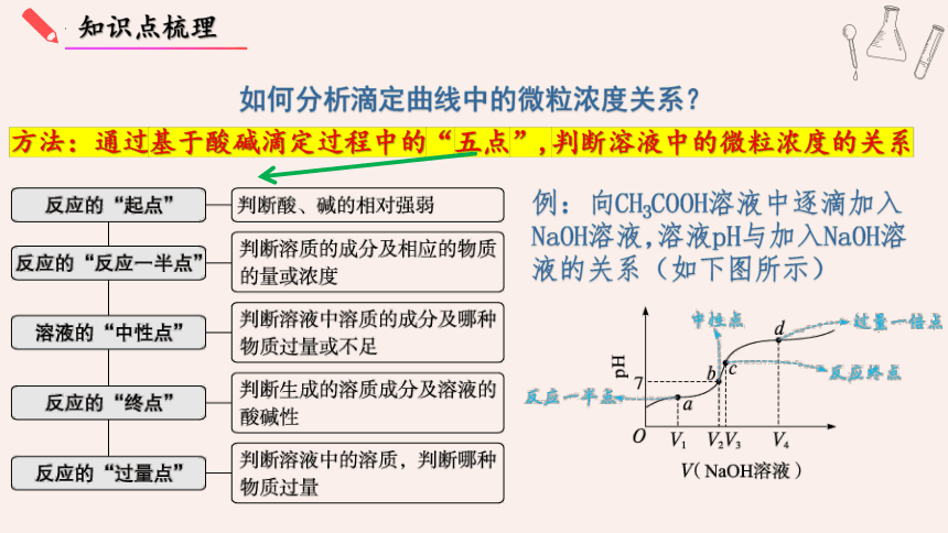 2024年高考化学一轮复习-反应过程溶液粒子浓度变化的图像分析（共48张ppt）