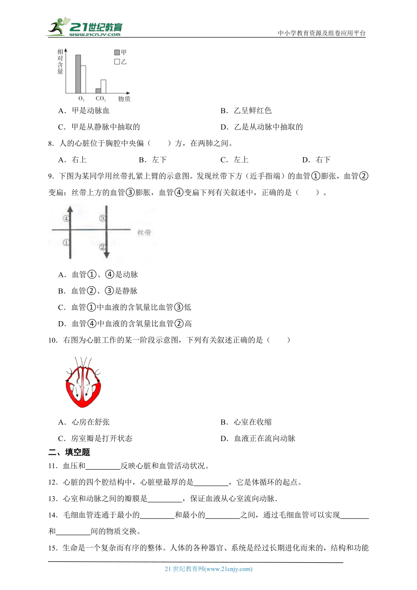 冀少版生物七年级下册一课一练2.2.2运输物质的器官（含解析）