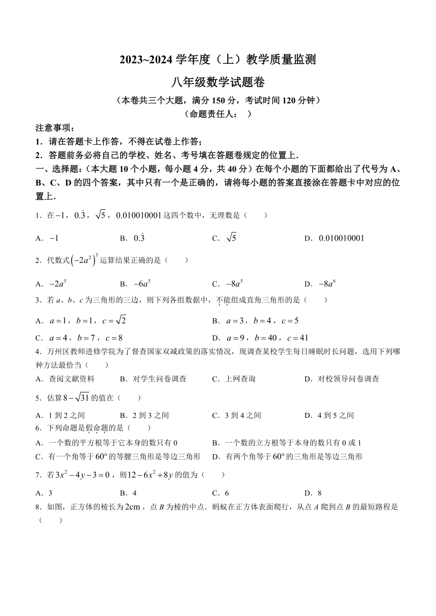 重庆市万州区部分学校2023-2024学年八年级上学期期末数学试题(无答案)