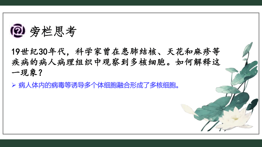 2.2.2动物细胞融合技术与单克隆抗体-(共34张PPT)课件人教版2019选择性必修3