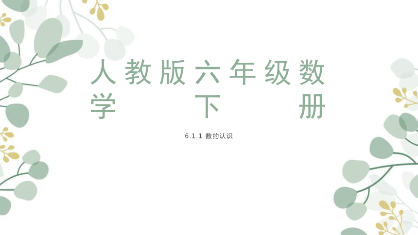 六年级下册数学人教版6.1.1 数的认识（课件）（共25张PPT）