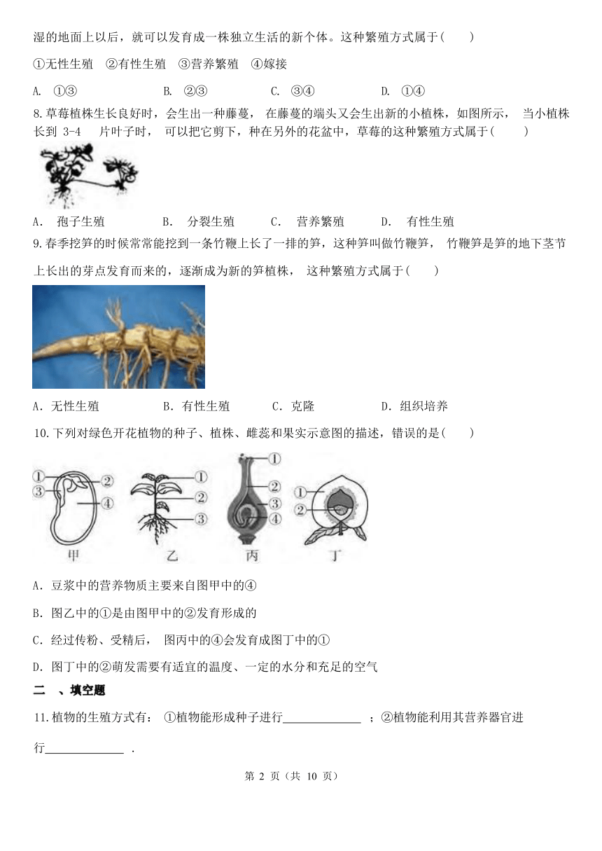 1.5 植物生殖方式的多样性 同步练习（含解析）