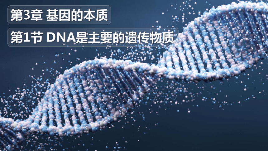 3.1DNA是主要的遗传物质(第一课时）（共23张PPT1个视频）人教版2019必修2