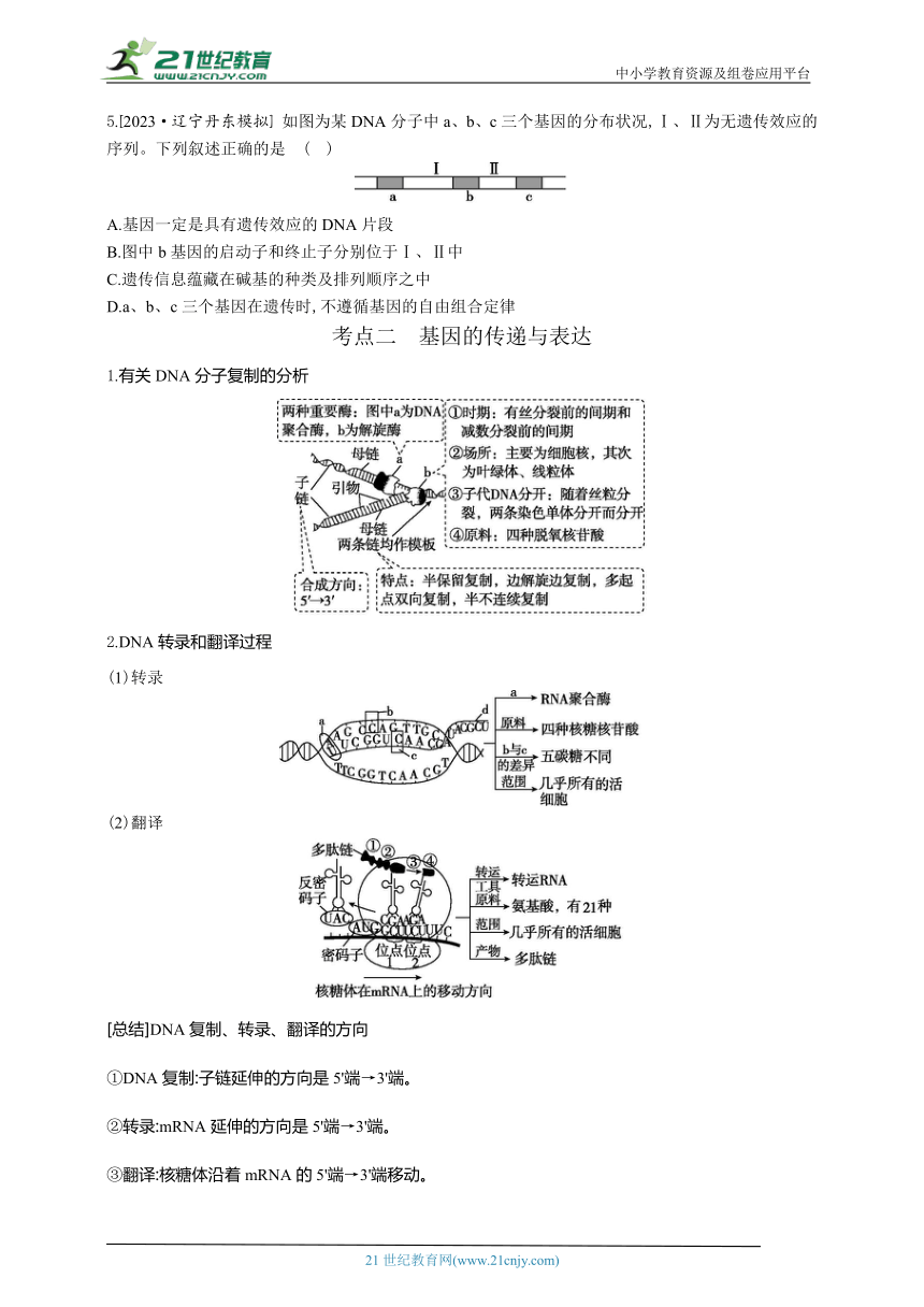 高考生物二轮复习专题学案：6基因的本质与表达（含解析）