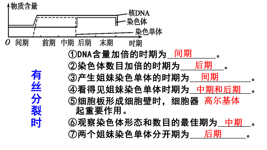 第6章 细胞的生命历程（复习课件）-(共38张PPT)2023-2024学年高一上学期生物人教版必修1