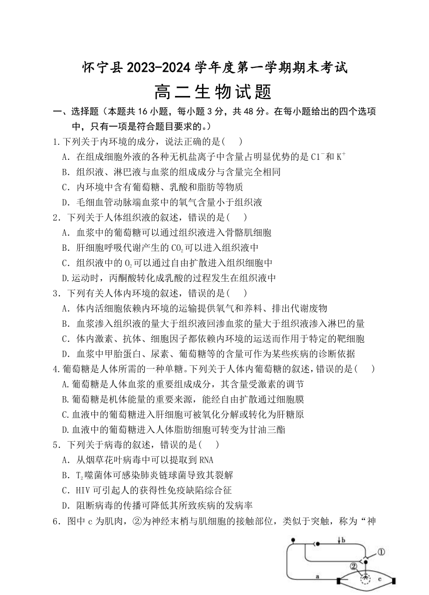 安徽省安庆市怀宁县2023-2024学年高二上学期期末考试生物学试题（含答案）