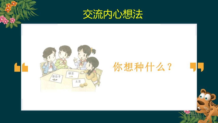 统编版二年级下册1.4《试种一粒籽》第二课时  《我也来种一粒籽》教学课件（共16张PPT）