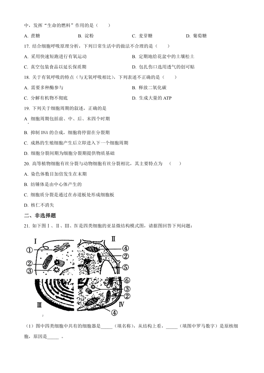 青海省西宁市2023-2024学年高一上学期期末调研测试 生物（解析版）