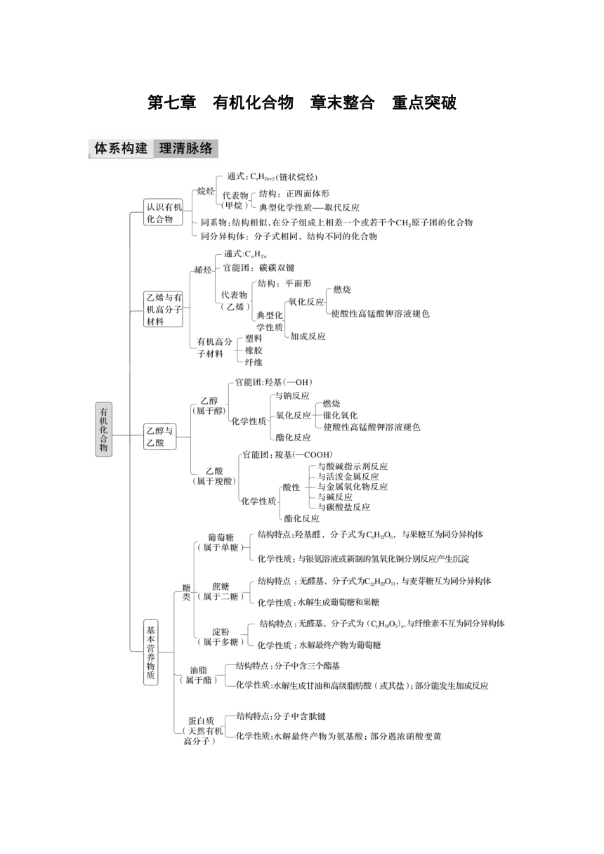 第七章　有机化合物  章末整合　重点突破  学案（含答案）—2024春高中化学人教版必修二