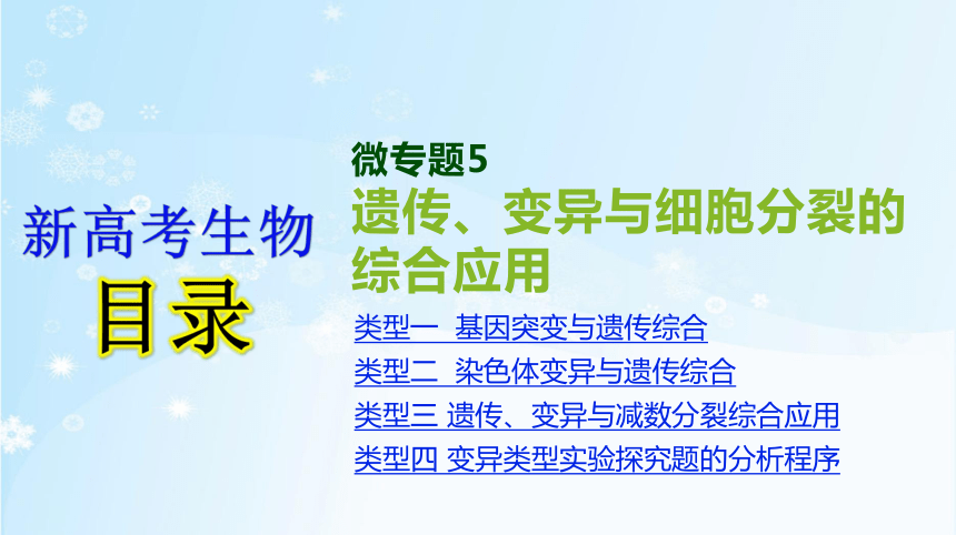 高考生物二轮复习微专题5　遗传、变异与细胞分裂的综合应用(共25张PPT)