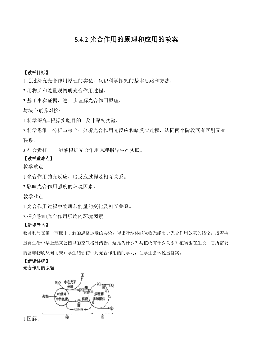 5.4.2光合作用的原理和应用的教案