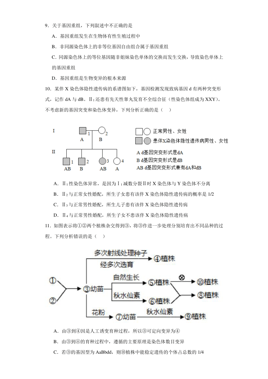 第四章 生物的变异 单元测试-2023-2024学年高中生物学浙科版（2019）必修第二册（解析版）