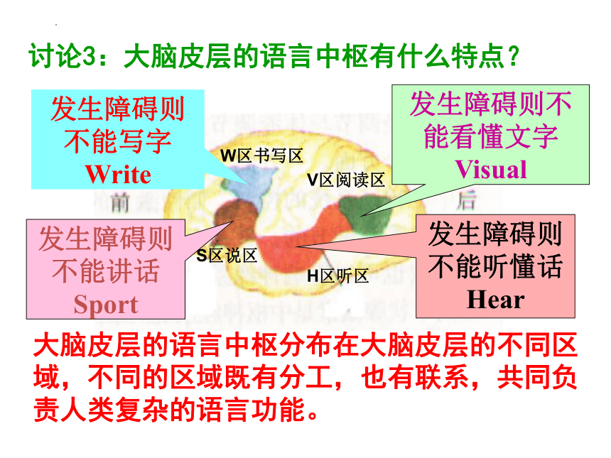 2.5 人脑的高能功能(共25张PPT)课件--人教版2019选择必修1