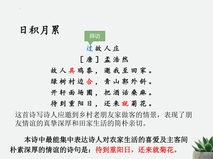 语文六年级上册期末重要知识点梳理课件(共47张PPT)