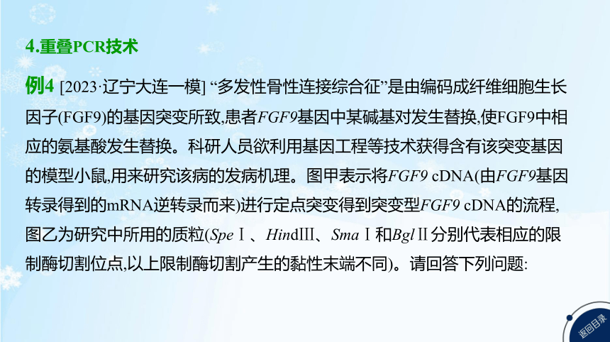 高考生物二轮复习微专题9　PCR技术的热点考法归纳及融合基因的原理和应用(共31张PPT)